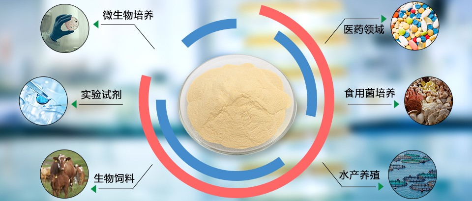 其他领域.jpg 其他领域.jpg