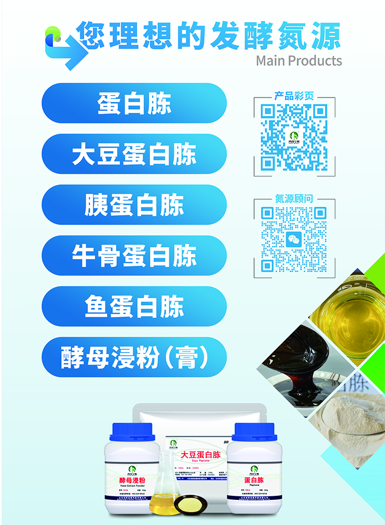 理想发酵氮源.jpg