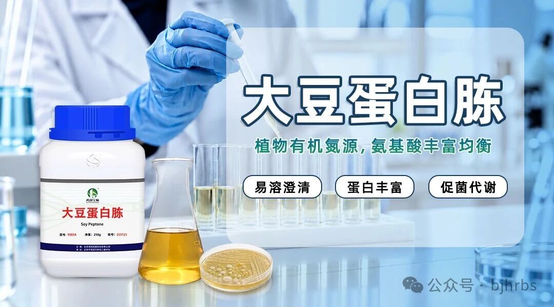 微信图片_2026-10-12_101904_334.jpg 微信图片_2026-10-12_101904_334.jpg
