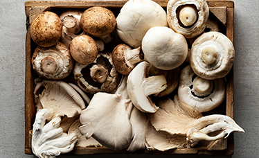 麦角硫因：食用菌中的“长寿维生素”