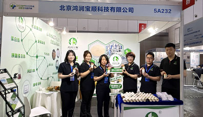 团建 · 活动 · 展会 · 企业形象
