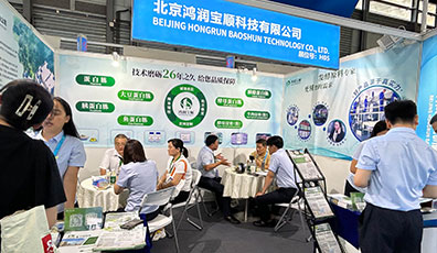 团建 · 活动 · 展会 · 企业形象