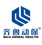 齐鲁动保