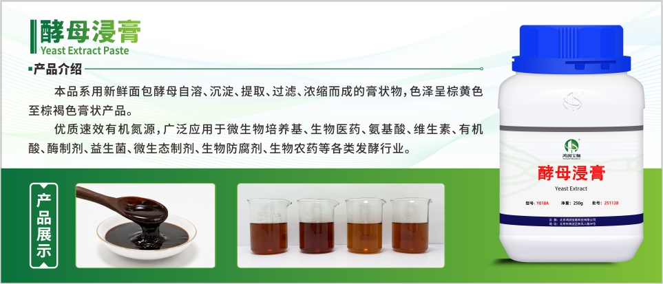 氨基酸发酵