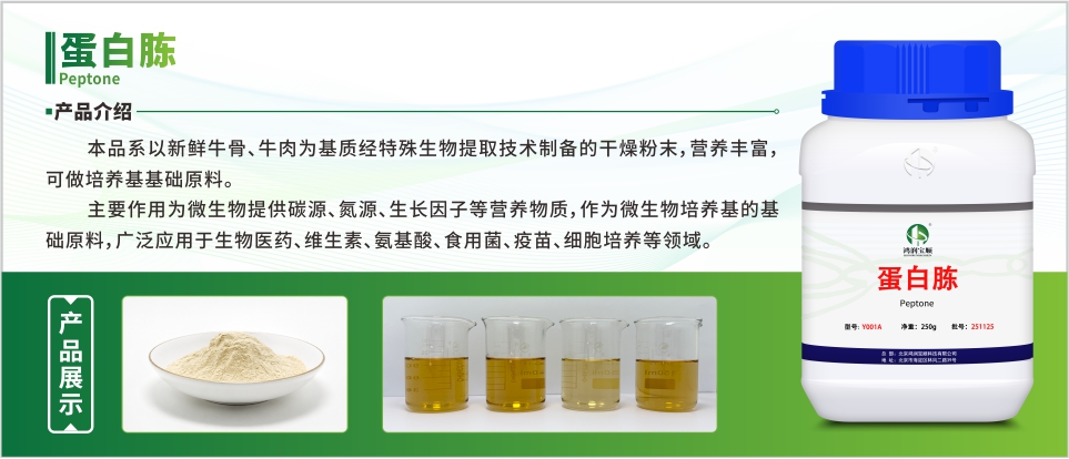 食用菌