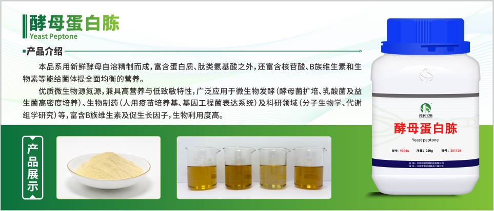 酶制剂